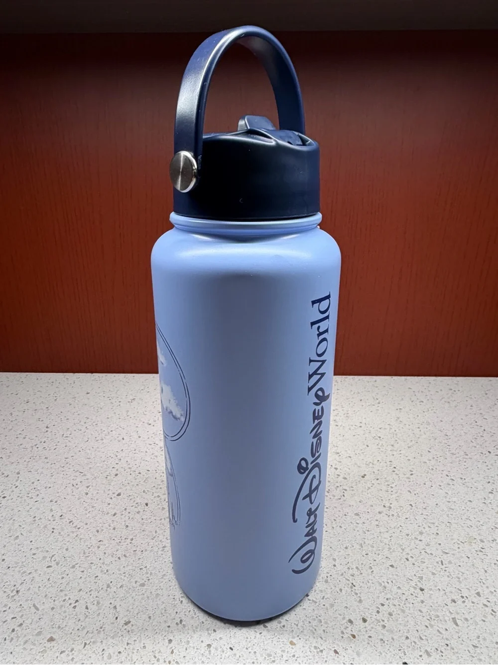 NEW 2026 DISNEY WORLD CINDERELLA CASTLE JUMBO 1 LITER WATER BOTTLE IN BLUE
